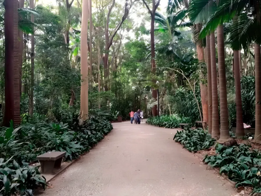 Imagem parque